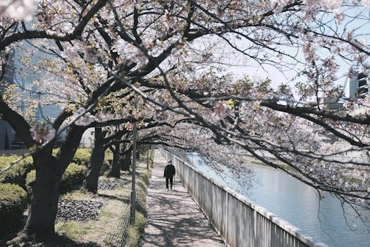 nature walk for relaxation